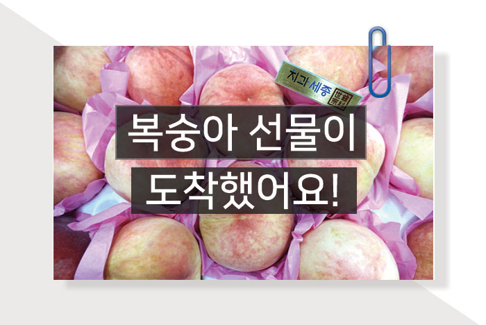 복숭아-선물-대표사진1.jpg