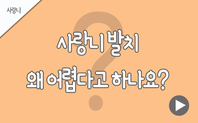 3사랑니발치 왜 어렵다고.jpg